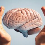 Human Brain